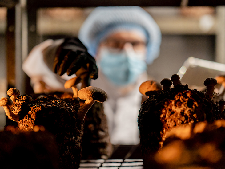 Scientific Validation & Quality Assurance