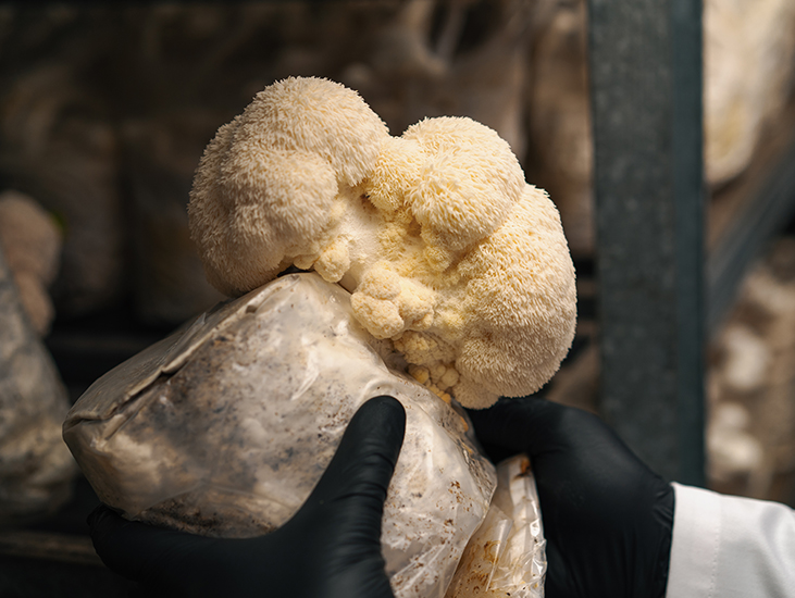 Partnership-Driven Approach